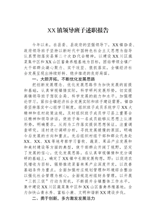 XX镇领导班子述职报告