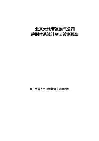 大地公司初步诊断报告（正式）(doc 36页)