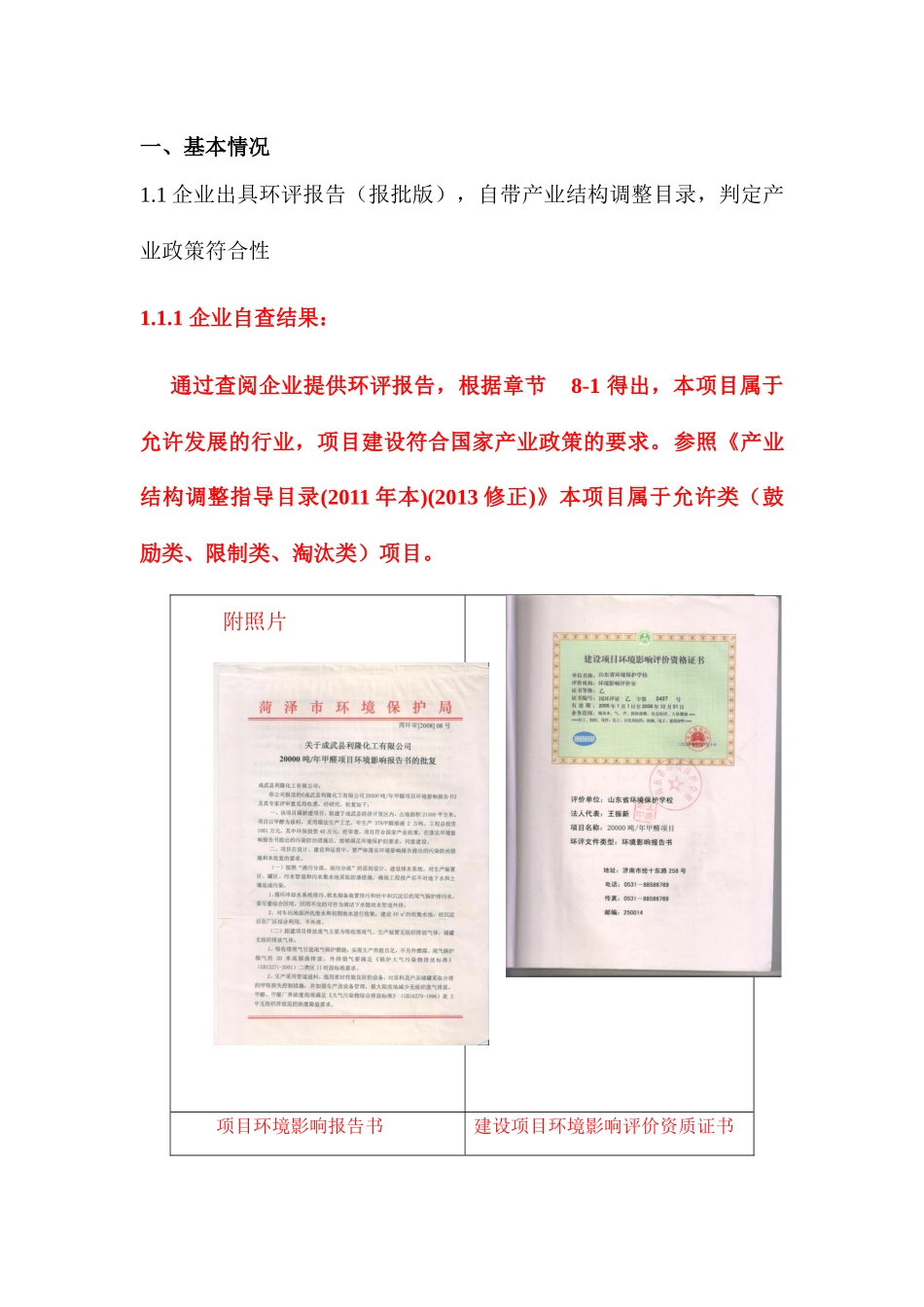 成武化工项目环保评分工作模板_第2页