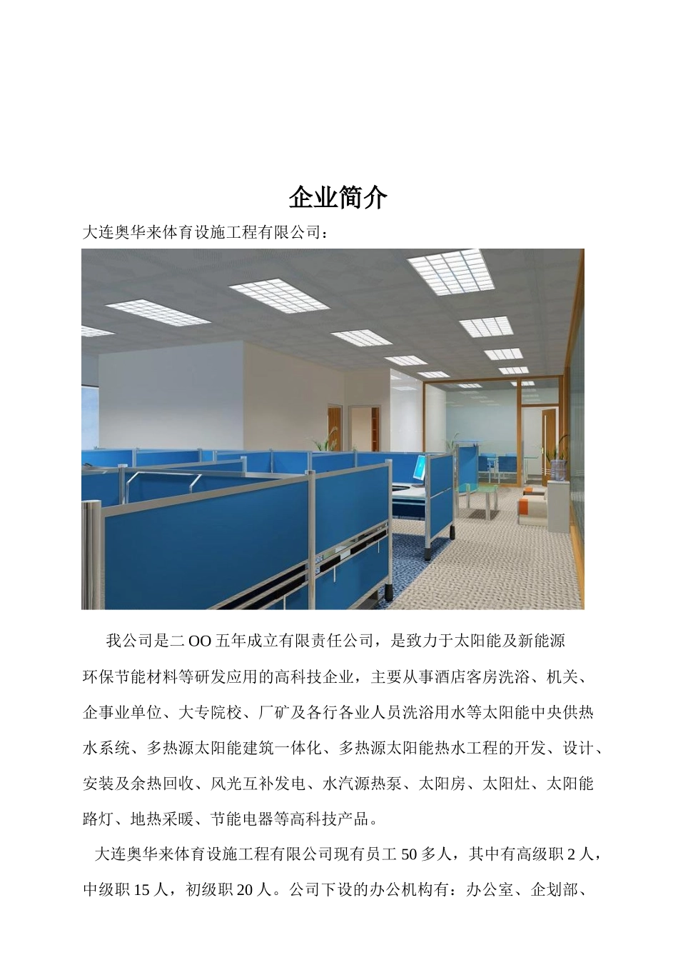 大连市某项目招标书_第3页