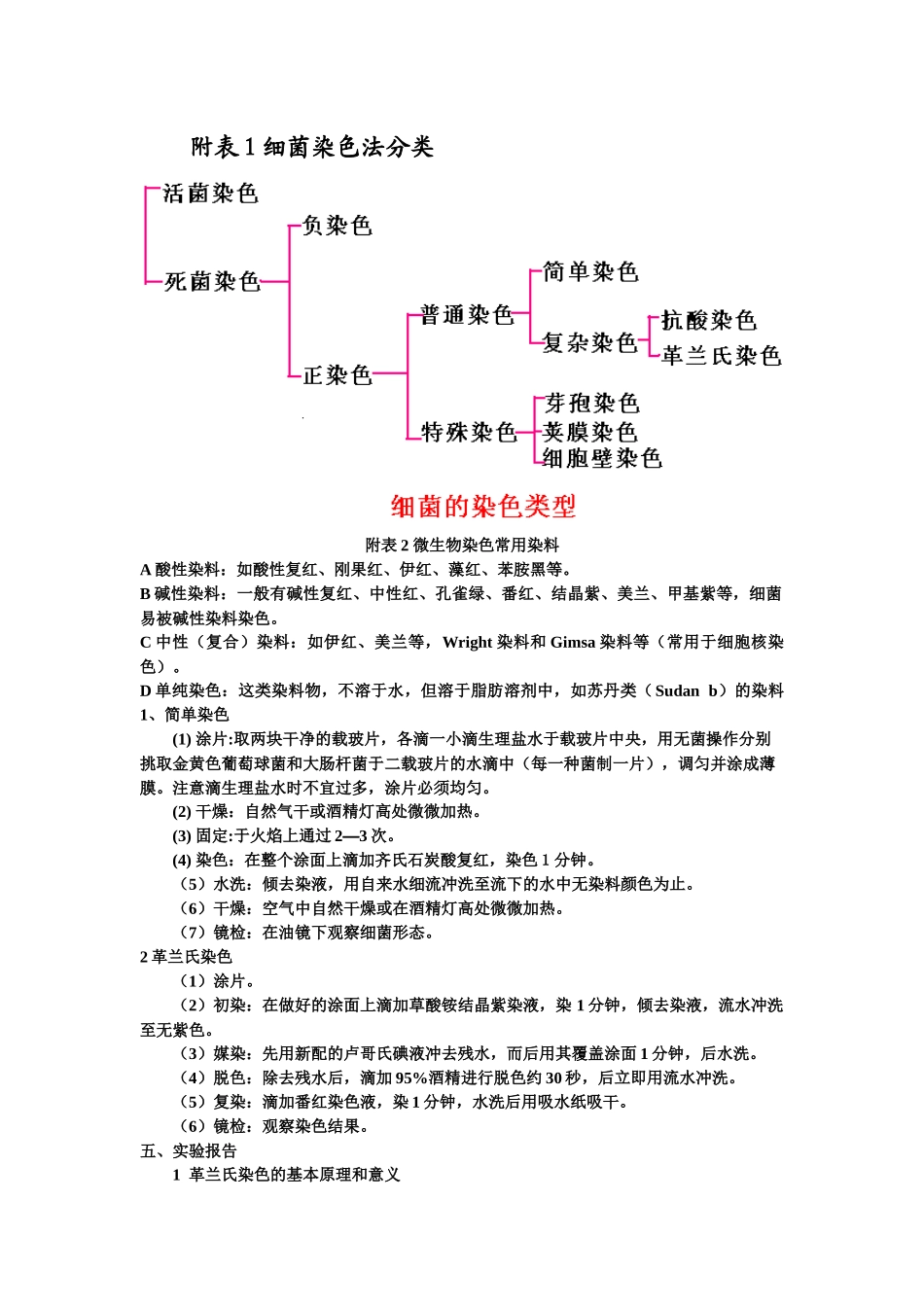 微生物实验教案_第3页