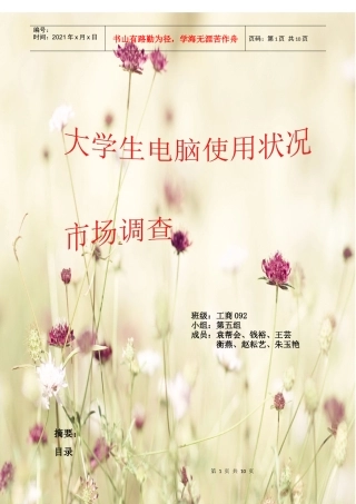 大学生电脑使用状况市场调查报告范本