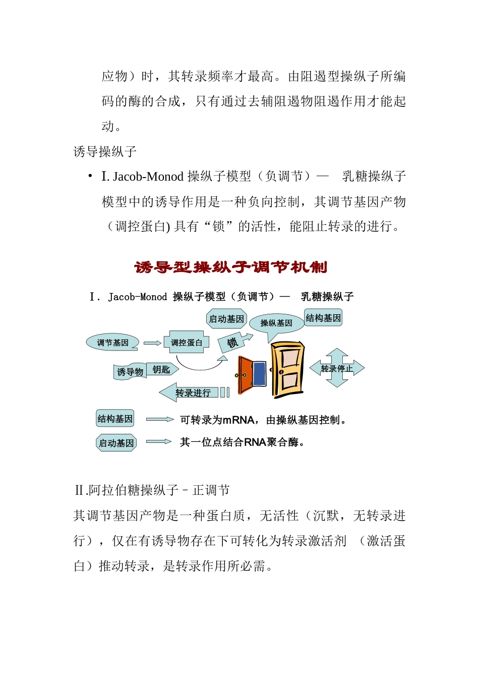 微生物初级代谢调节_第2页