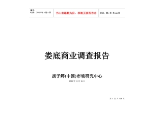 娄底商业调查报告