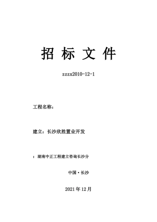 湖南中正工程建设咨询有限公司长沙分公司招标文件