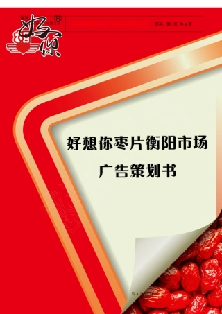 好想你枣片衡阳市场广告策划书