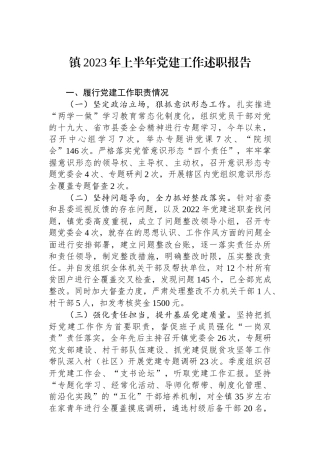 镇2023年上半年党建工作述职报告