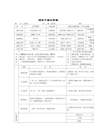 合肥市房地产项目个案分析表