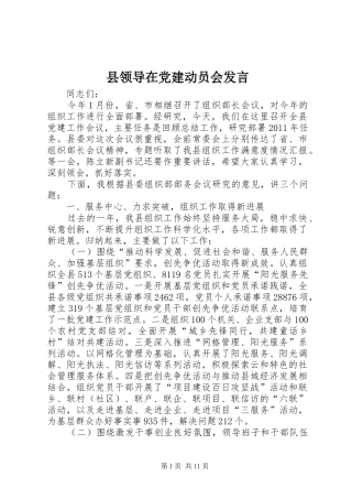 县领导在党建动员会发言稿