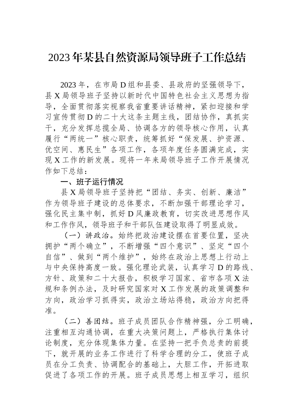 2023年某县自然资源局领导班子工作总结_第1页