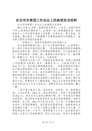 在全市共青团工作会议上的典型发言致辞