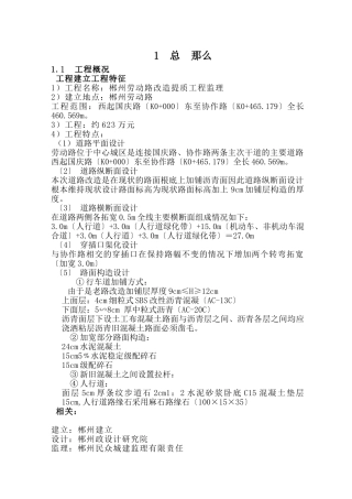 郴州市劳动路改造提质工程监理
