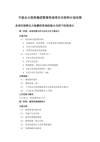 宁波永大投资集团项目内容和计划安排