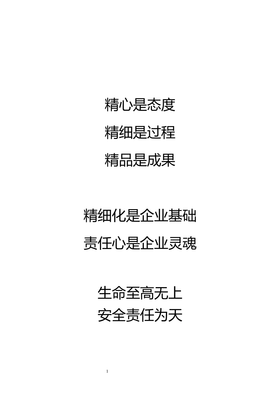 安全生产精细化管理手册_第2页