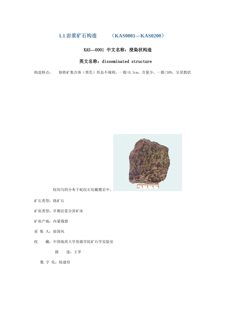 岩浆矿石构造_第1页