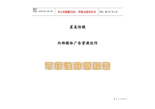 媒体运作可行性分析报告