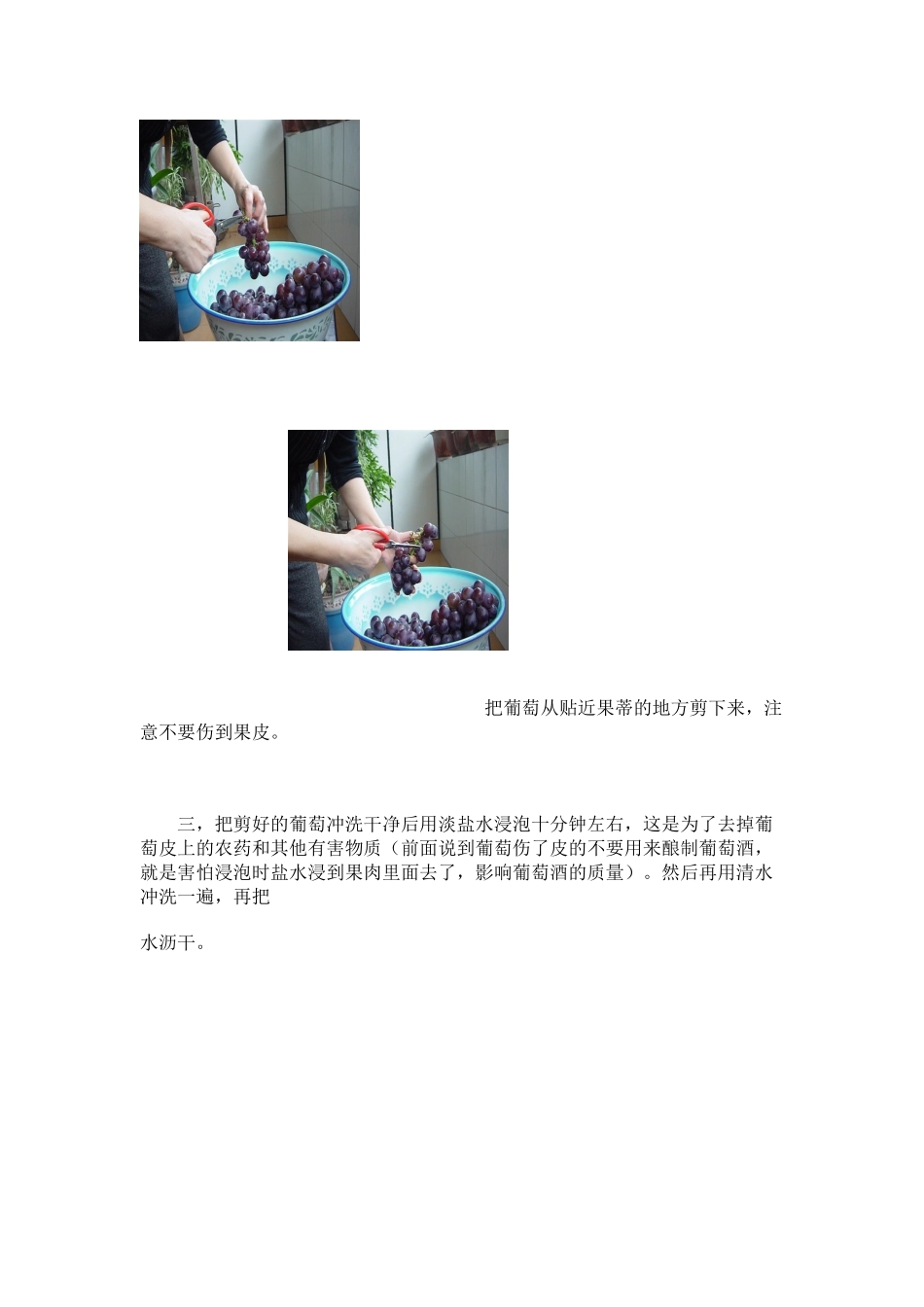 家庭自酿红葡萄酒_第2页