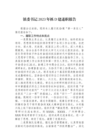 镇委书记2023年抓党建述职报告