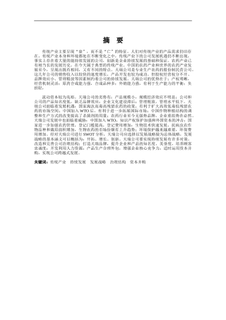 天瑞公司总体战略发展