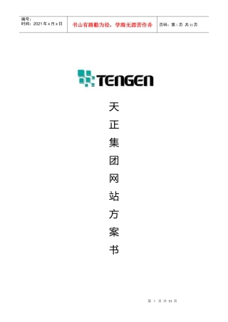 奥肯-天正-集团公司项目策划方案