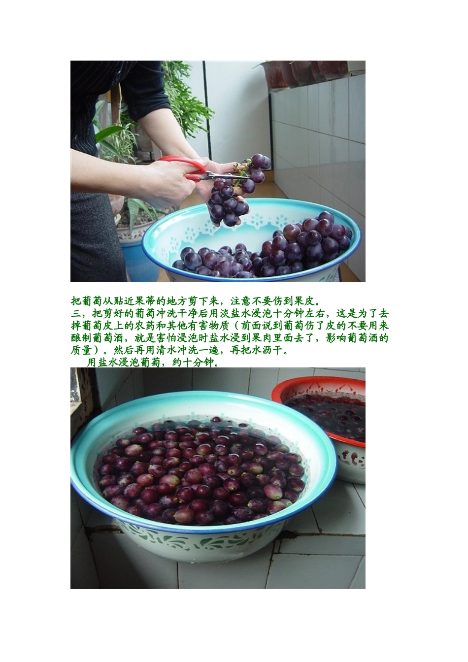 家庭如何自酿红葡萄酒_第3页