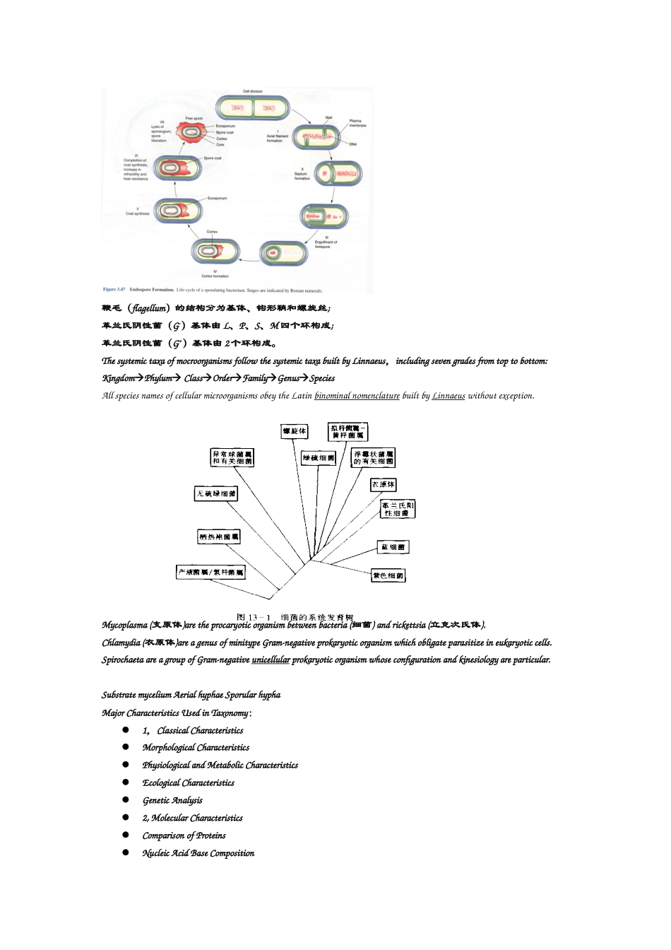 微生物学英文题库_第3页