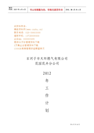 天环燃气公司年度工作计划书
