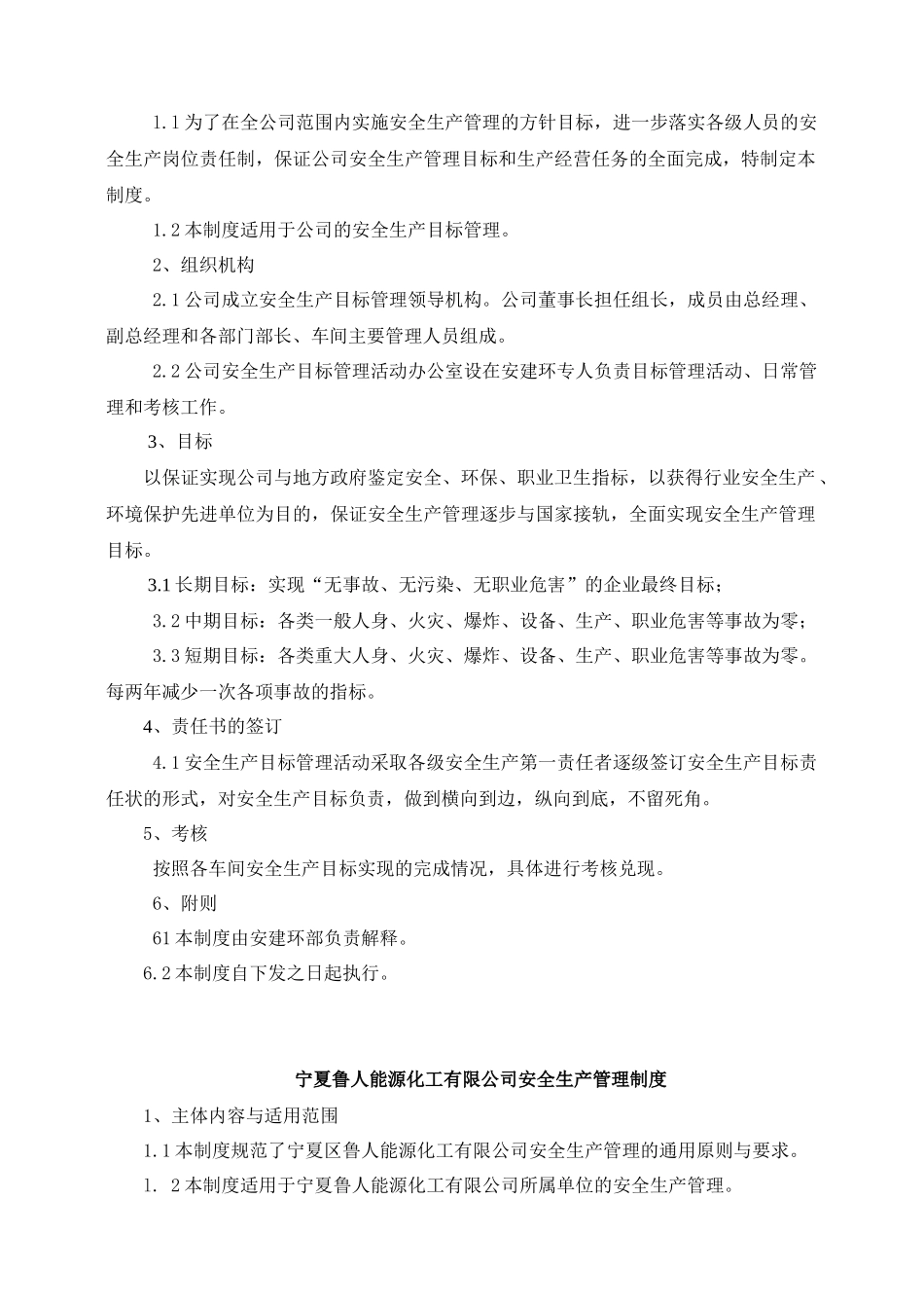 宁夏鲁人能源化工有限公司安全生产管理制度_第2页