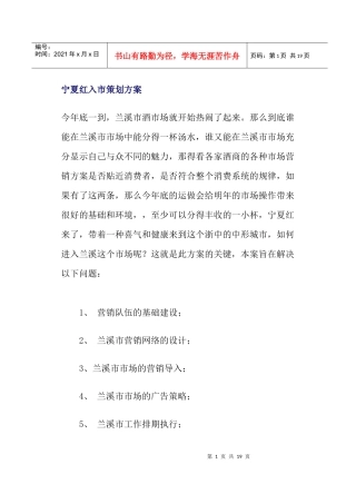 宁夏红入市策划方案