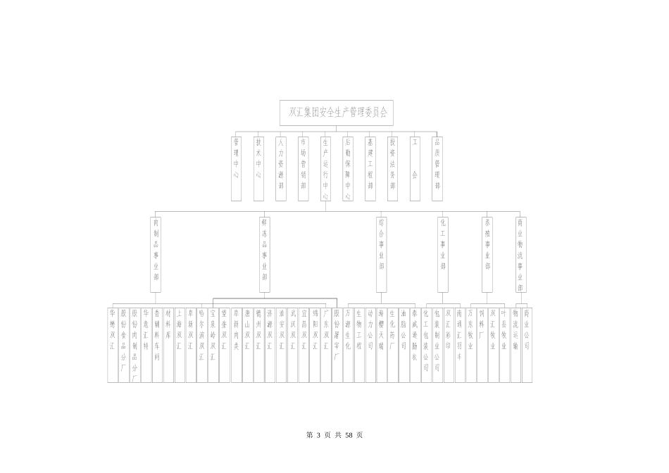 安全管理手册(双汇)_第3页