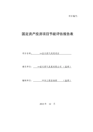 天然气利用项目节能评估报告