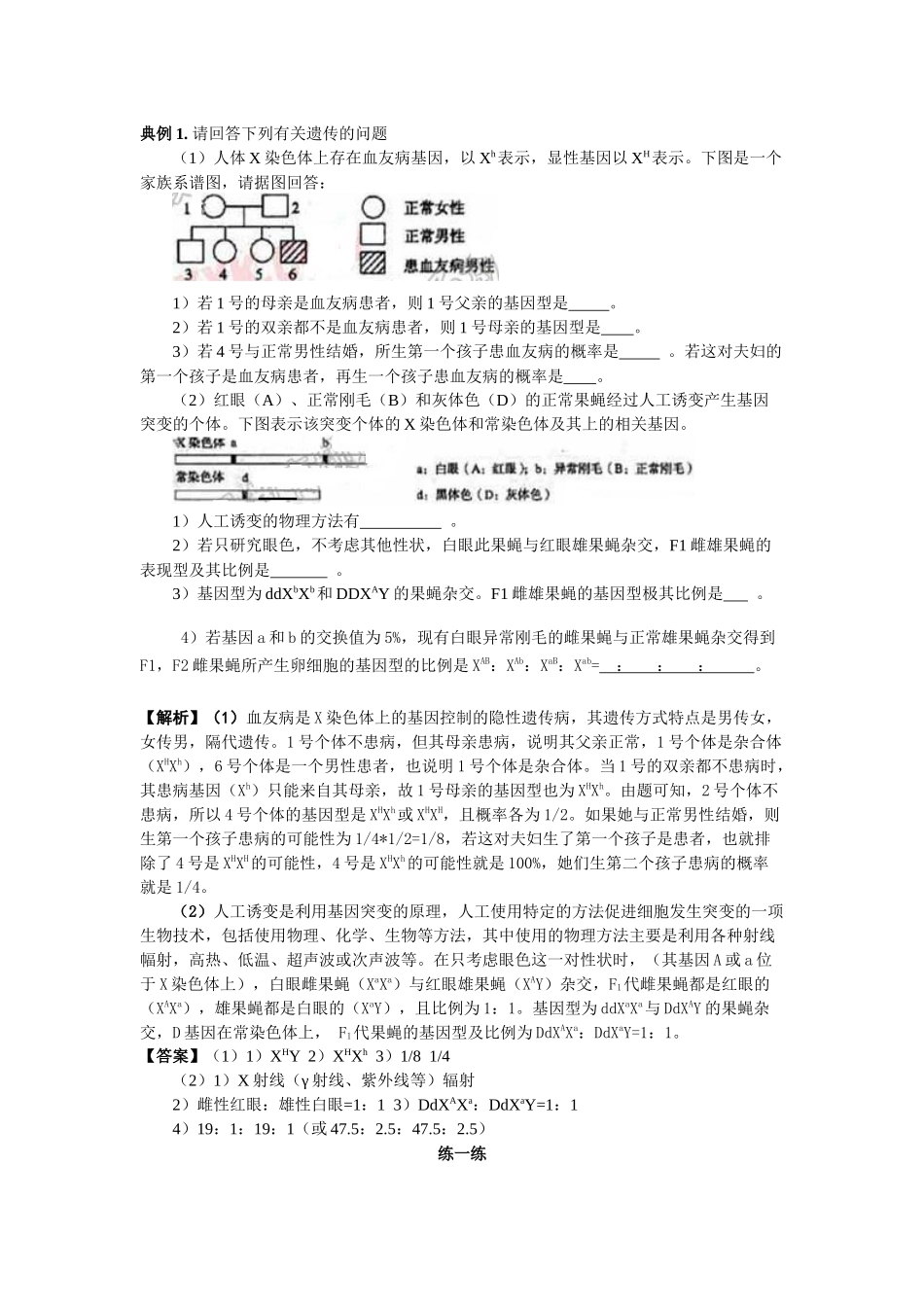 山东惠民二中生物：“五步法”快速判断遗传系谱图-桐_第2页
