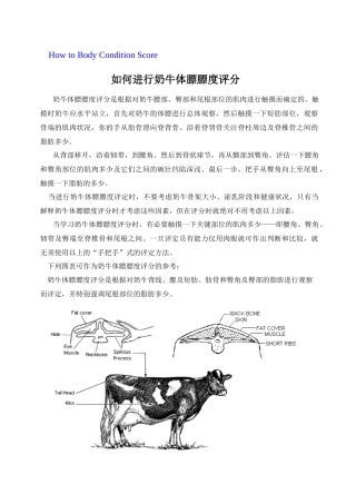 奶牛体膘膘度评分方法