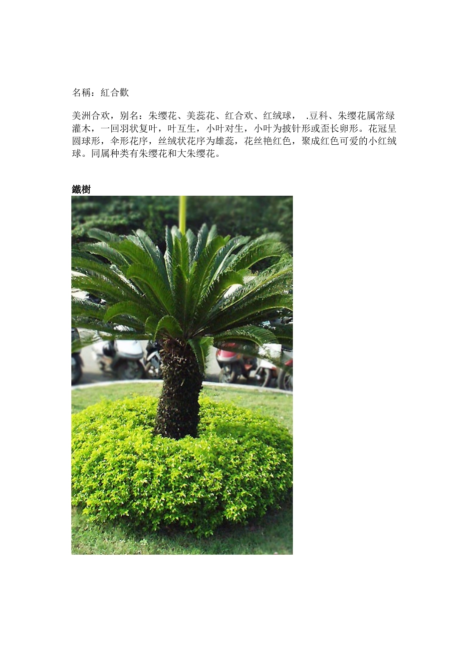 园林植物大全(plants)_第2页