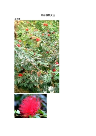 园林植物大全(plants)