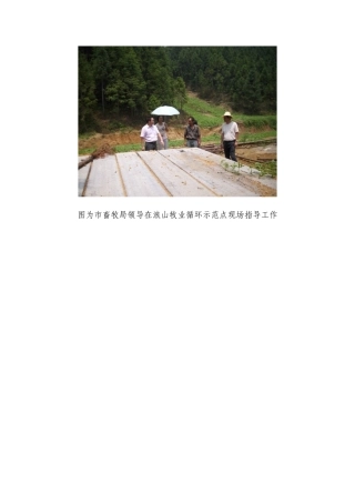 图为市畜牧局领导在浪山牧业循环示范点现场指导工作