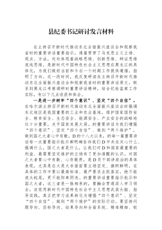 县纪委书记研讨发言材料