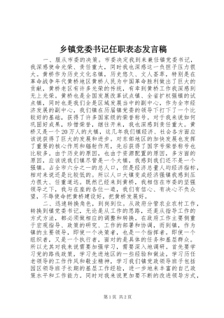 乡镇党委书记任职表态发言