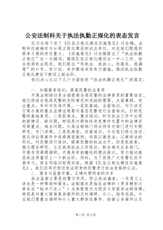 公安法制科关于执法执勤正规化的表态发言稿