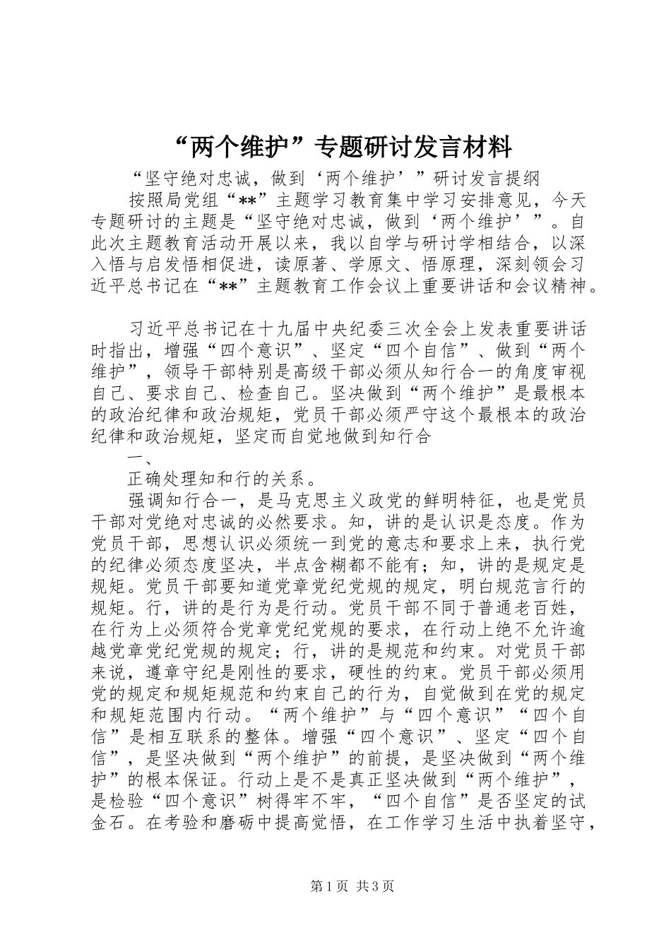 “两个维护”专题研讨发言材料致辞_第1页