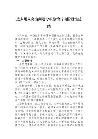 选人用人突出问题专项整治行动阶段性总结