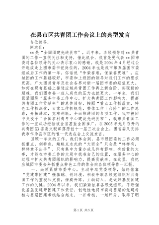 在县市区共青团工作会议上的典型发言稿