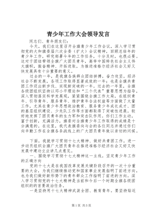 青少年工作大会领导发言稿