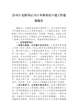 公司党支部书记2023年抓基层党建工作述职报告 (1)