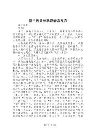 新当选县长就职表态发言稿
