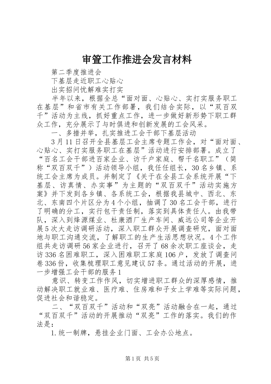 审箮工作推进会发言材料提纲范文_第1页