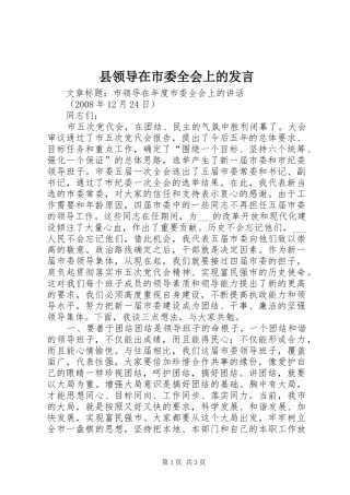 县领导在市委全会上的发言稿