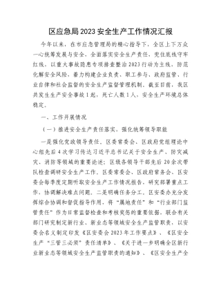 区应急局2023安全生产工作情况汇报