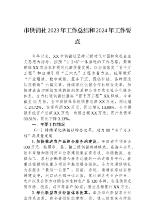 市供销社2023年工作总结和2024年工作要点