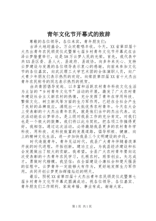 青年文化节开幕式的演讲致辞
